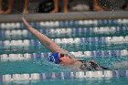 Swim vs Bentley  Wheaton College Swimming & Diving vs Bentley University. - Photo by Keith Nordstrom : Wheaton, Swimming & Diving